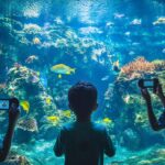 釣りスピリッツ 釣って遊べる水族館_レビュー