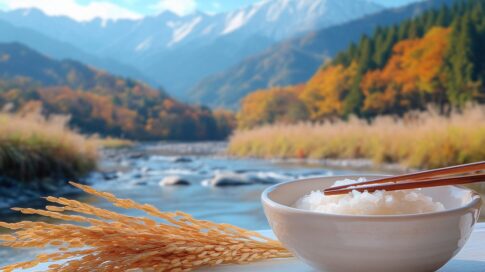野沢農産 長野県産コシヒカリレビュー